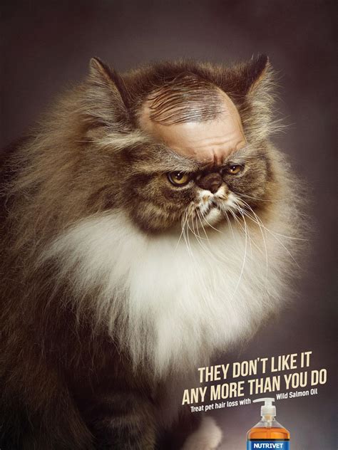 The execution is true to the brand and true to the consumer. . Kitty ads